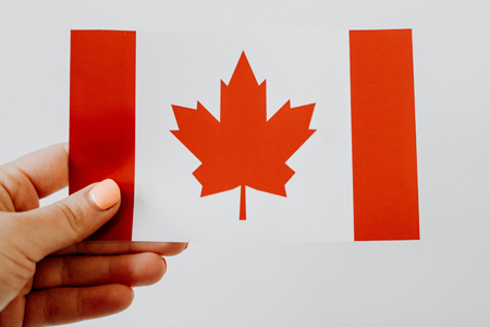 A Person Holding a Canadian Paper Flag